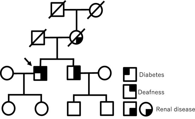 【佳学基因检测